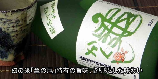画像5: 山岡酒造 瑞冠 純米大吟醸 亀かくし720ml (5)