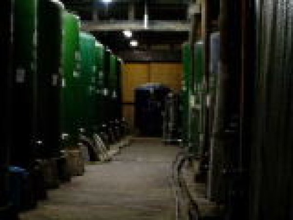 画像3: 賀茂泉　ROCK HOPPER　純米吟醸　無濾過生原酒 720ml【製造年月2026年4月】 (3)