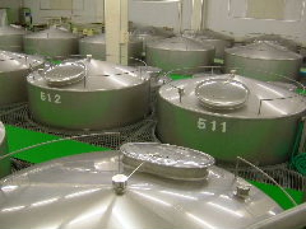 画像4: 賀茂泉　ROCK HOPPER　純米吟醸　無濾過生原酒 720ml【製造年月2026年4月】 (4)