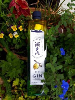 桜尾ジンリキュール ネーブルオレンジ 広島県の日本酒を専門通販 桜尾ジンリキュール ネーブルオレンジ 広島県の日本酒を専門通販