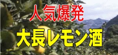 画像1: 中尾醸造　大長　檸檬酒500ml(これは清酒ではなく甘味果実酒です)