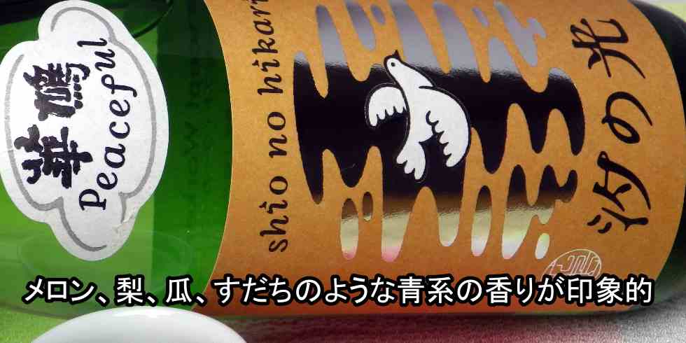 榎酒造 華鳩 純米吟醸 生酒 汐の光